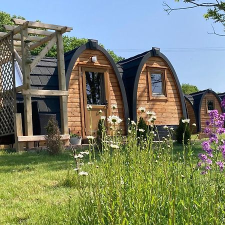 Rabbit Glamping Pod School House Farm Hotel Leighton  Buitenkant foto